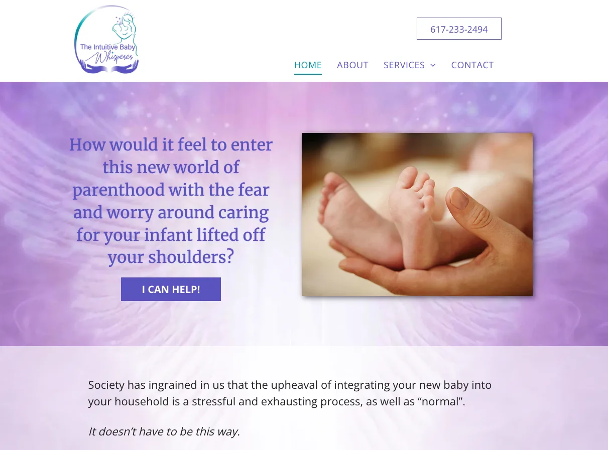 Intuitive Baby Whisperer website
